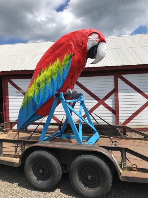 The Big Parrot