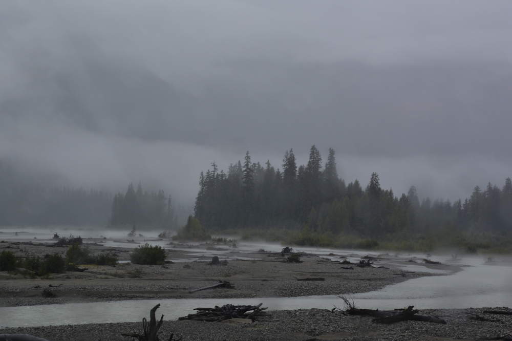 Salmon River Flats -- Hyder, Alaska