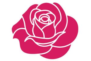 rose-bud-300x200-1