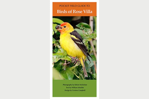 Birds of Rose Villa