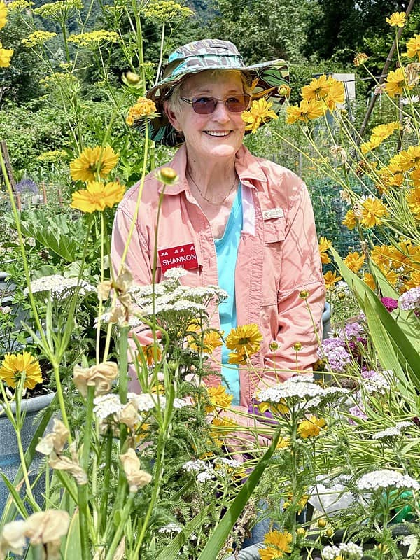 Shannon Diez in a Field of Flowers