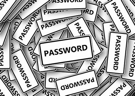 Password Management Basics