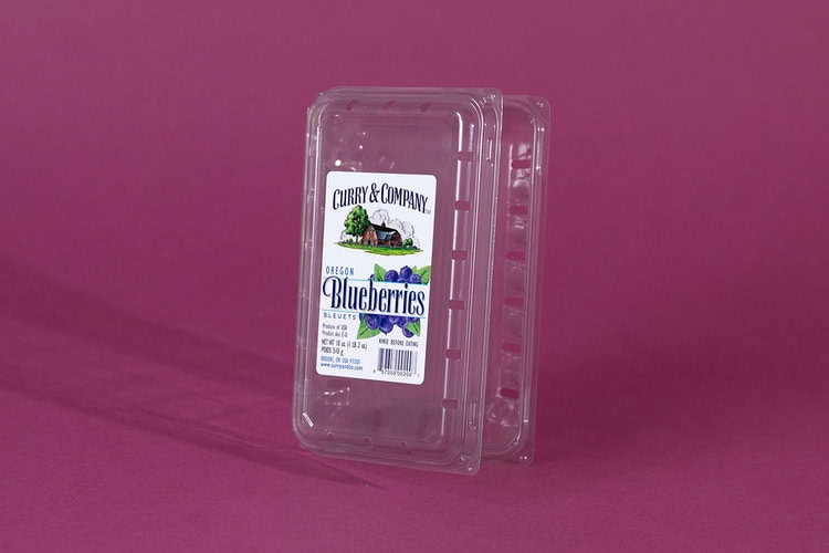 Clear plastic blueberry container