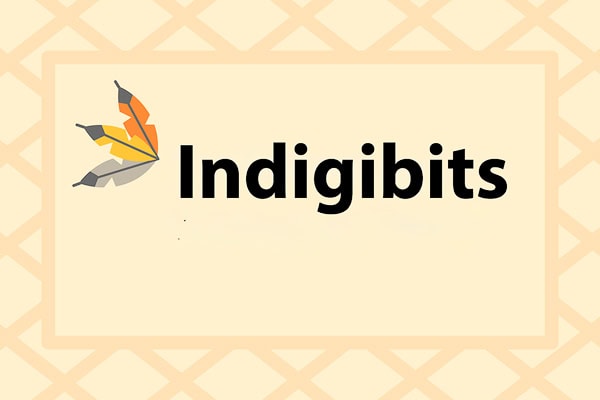 Indigibits