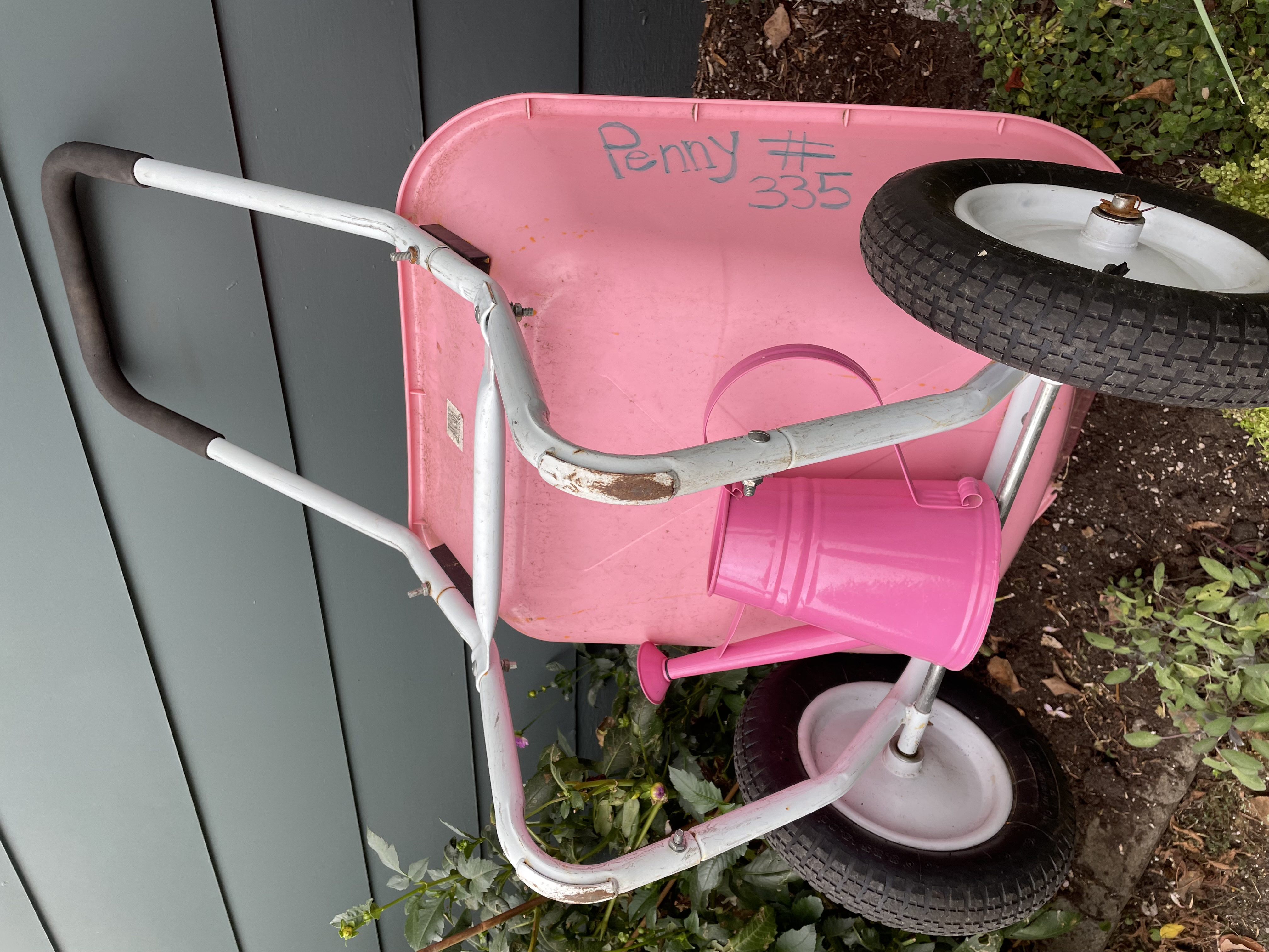 Penny's pink wheelbarrow