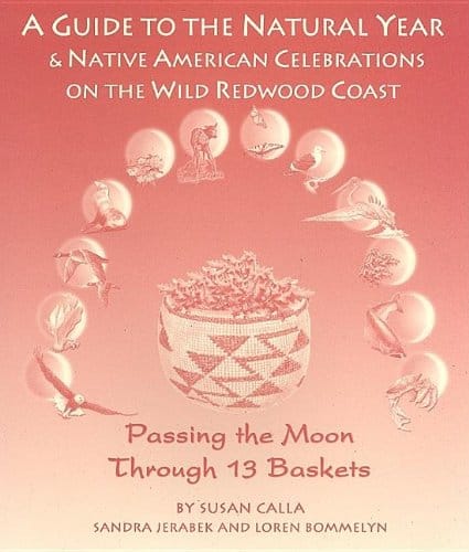 Passing the Moon book cover