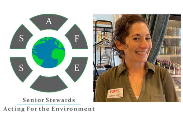 SSAFE Presentation, Norine Mulry