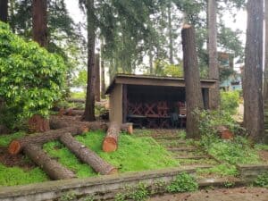Stumps left for habitat