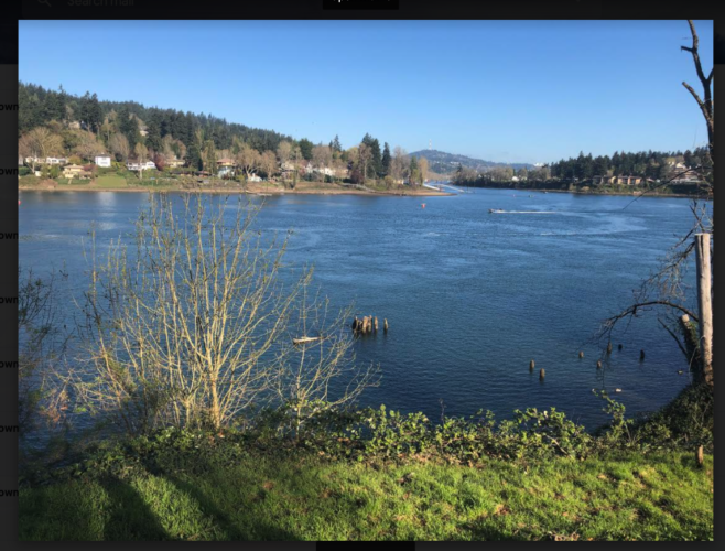 Willamette River Walk with Two Short Side Excursions