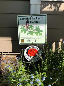 Certified Backyard Habitat