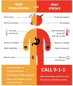 Heat Exhaustion PDF