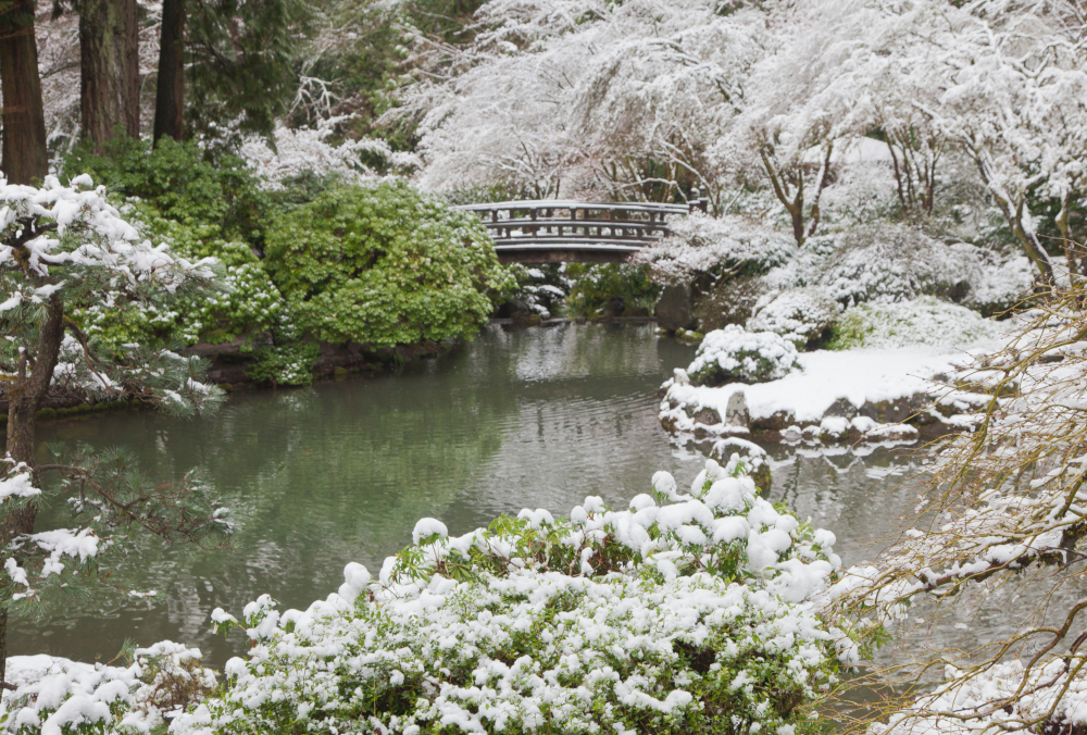 Upper Pond Bridge at Japanese Garden